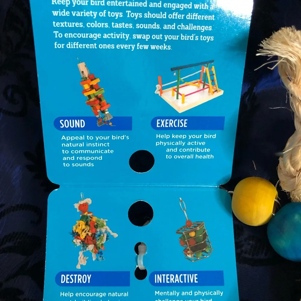 KNOTS & SLATES M/L Brand New Bird Toy
